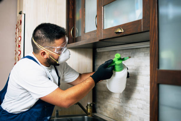 Best Pest Prevention Services  in Glendive, MT