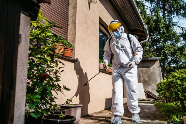 Flea Control Services in Glendive, MT