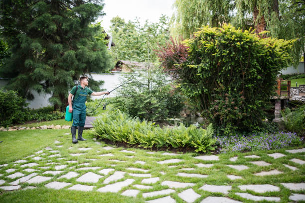 Best Best Pest Control Companies  in Glendive, MT