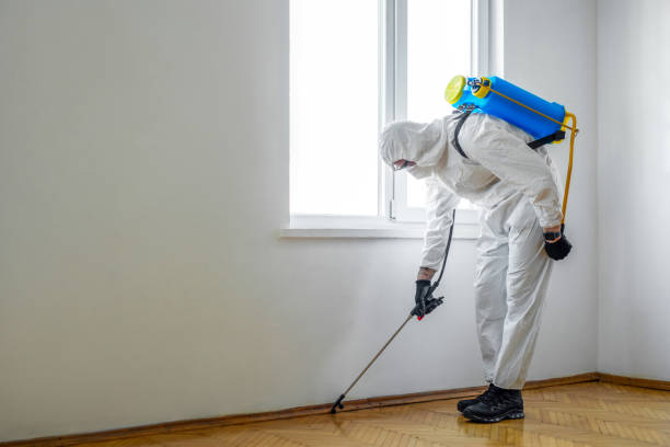 Wasp Removal Services in Glendive, MT