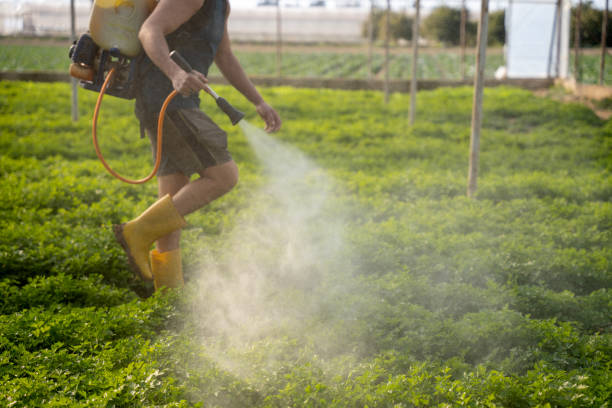 Best Best Pest Control Companies  in Glendive, MT