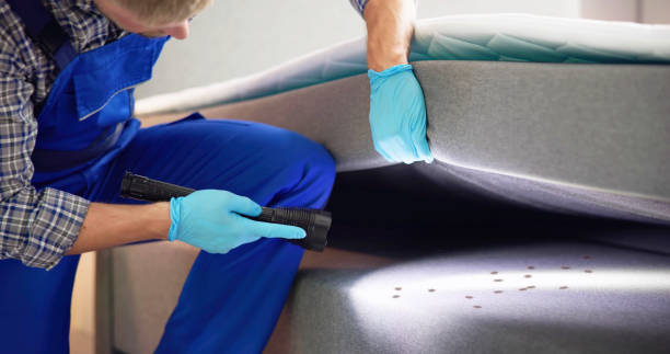 Best Affordable Exterminators  in Glendive, MT