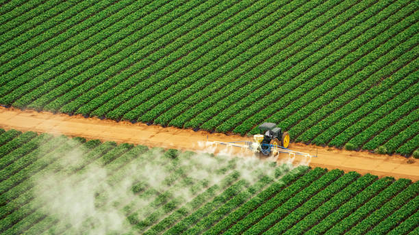 Best Mosquito Control Services  in Glendive, MT