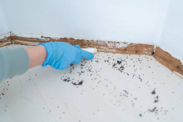 Best Residential Pest Control  in Glendive, MT