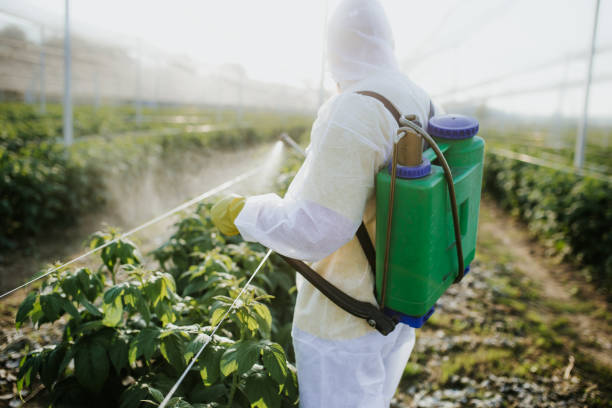 Best Pest Removal Services  in Glendive, MT